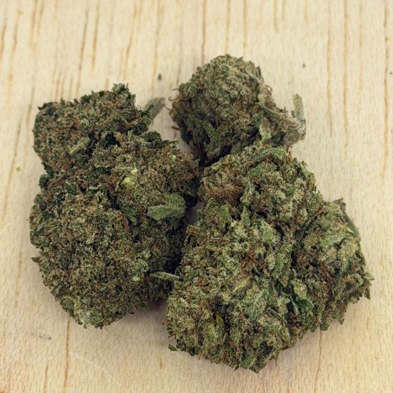 Mimosa – Cannabis sativa L. Blüten